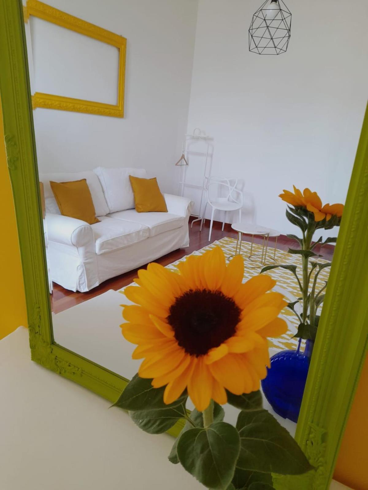 Sole Amare Guest House Барі Екстер'єр фото